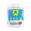 RYSE, PREWORK, PREENTRENO, ALCA, ALCA IMPORTADORA, SUPLEMENTOS DEPORTIVOS, MAYOREO, ENVÍOS GRATIS